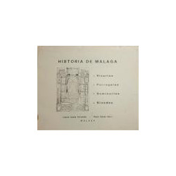 Historia de Málaga (desde su restauración hasta hoy). Vicarías. Parroquias. Seminarios. Sínodos.