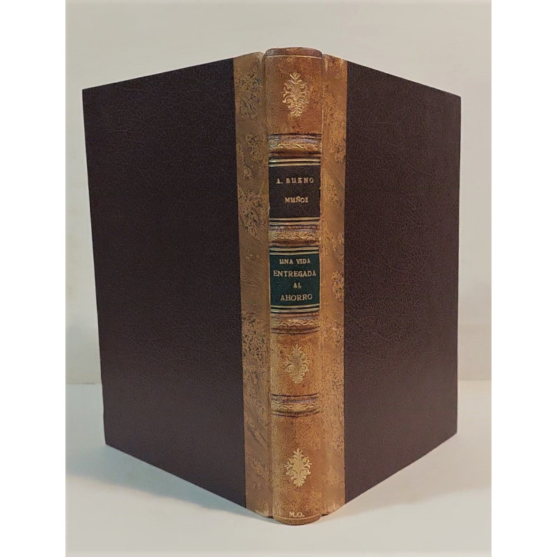 Una vida entregada al ahorro. Biografía de Juan de la Rosa Mateos. Prólogo de Luis Coronel de Palma. 1931 - 1981. Bodas de Oro c