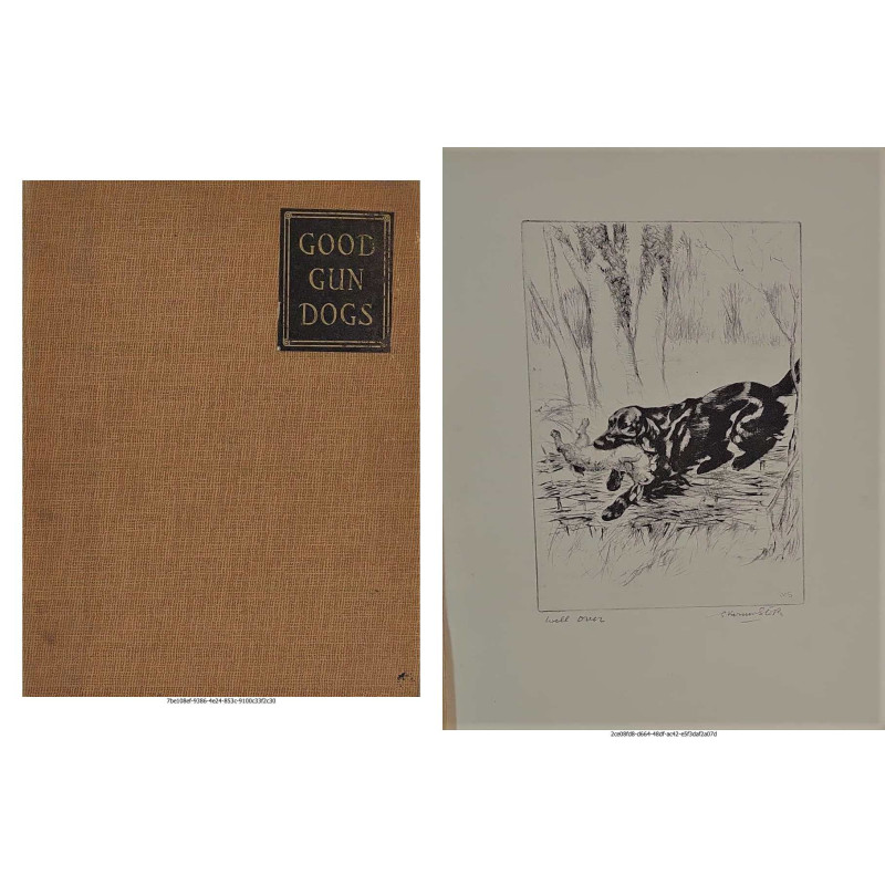 Good gun dogs. Illustrated from original dry points by G. Vernon Stokes.