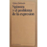 Spinoza y el problema de la expresión. Traducido del francés por Horst Vogel.