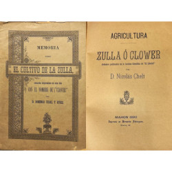 Memoria sobre el cultivo de la Zulla, conocida vulgarmente en esta isla con el nombre de “Clover”. /-/ Agricultura. Zulla ó Clow