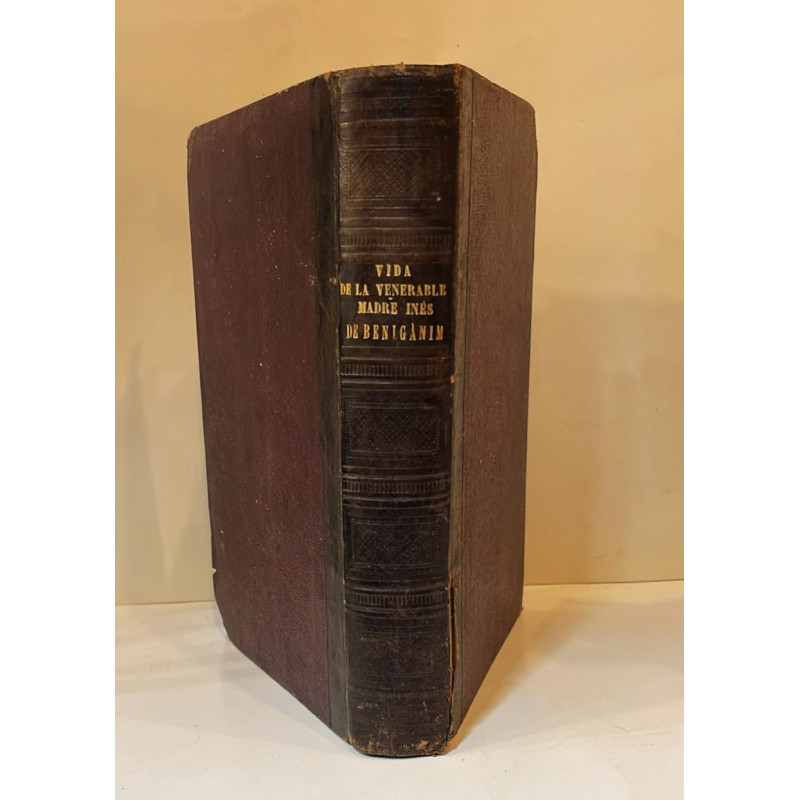 Biografía de la religiosa agustina la beata Inés de Benigánim. 1882.