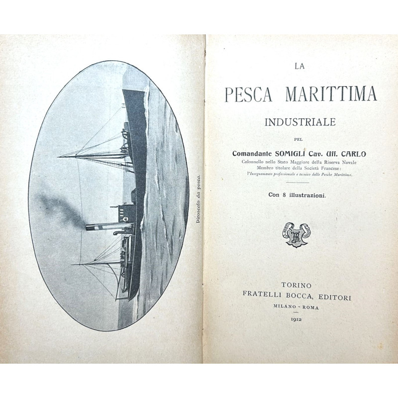 La pesca marittima industriale.