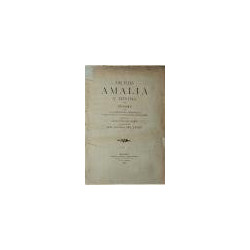 Las Islas Amalia, y Mínima. Informe sobre las condiciones agrológicas, climatológicas y topográficas que reúnen para dedicarlas