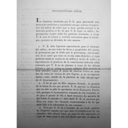 EXCELENTÍSIMO Señor. La comisión nombrada por V.E. para presentarle una minuta de condiciones y seguridades con que realizar el