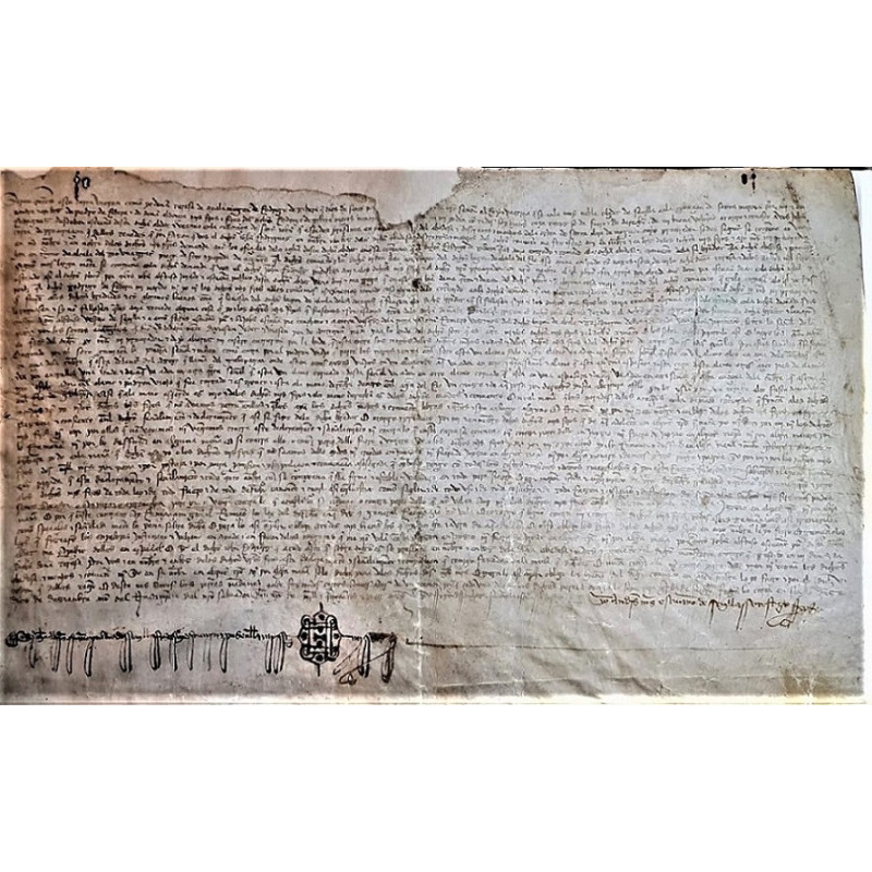 SEPAN cuantos esta carta vieren como yo Doña Teresa de Ayala mujer de Rodrigo de Rivera, que Dios dé santo reposo, Vasayo que fu