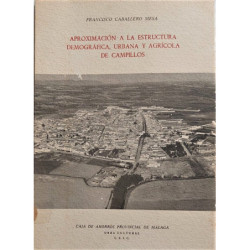 Aproximación a la estructura demográfica, urbana y agrícola de Campillos, municipio del surco intrabético malagueño.