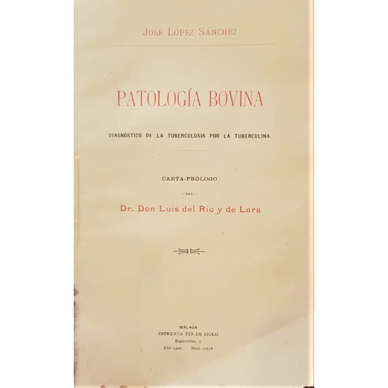 Patología bovina. Diagnóstico de la tuberculosis por la tuberculina. Carta prólogo de Don Luis del Río y de Lara.